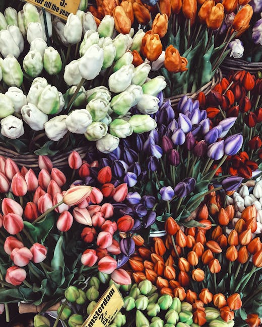 A vibrant display of tulips in various colors, including white, light pink, purple, orange, and red, arranged in baskets and displayed closely together in a floral market setting. The tulips have fres